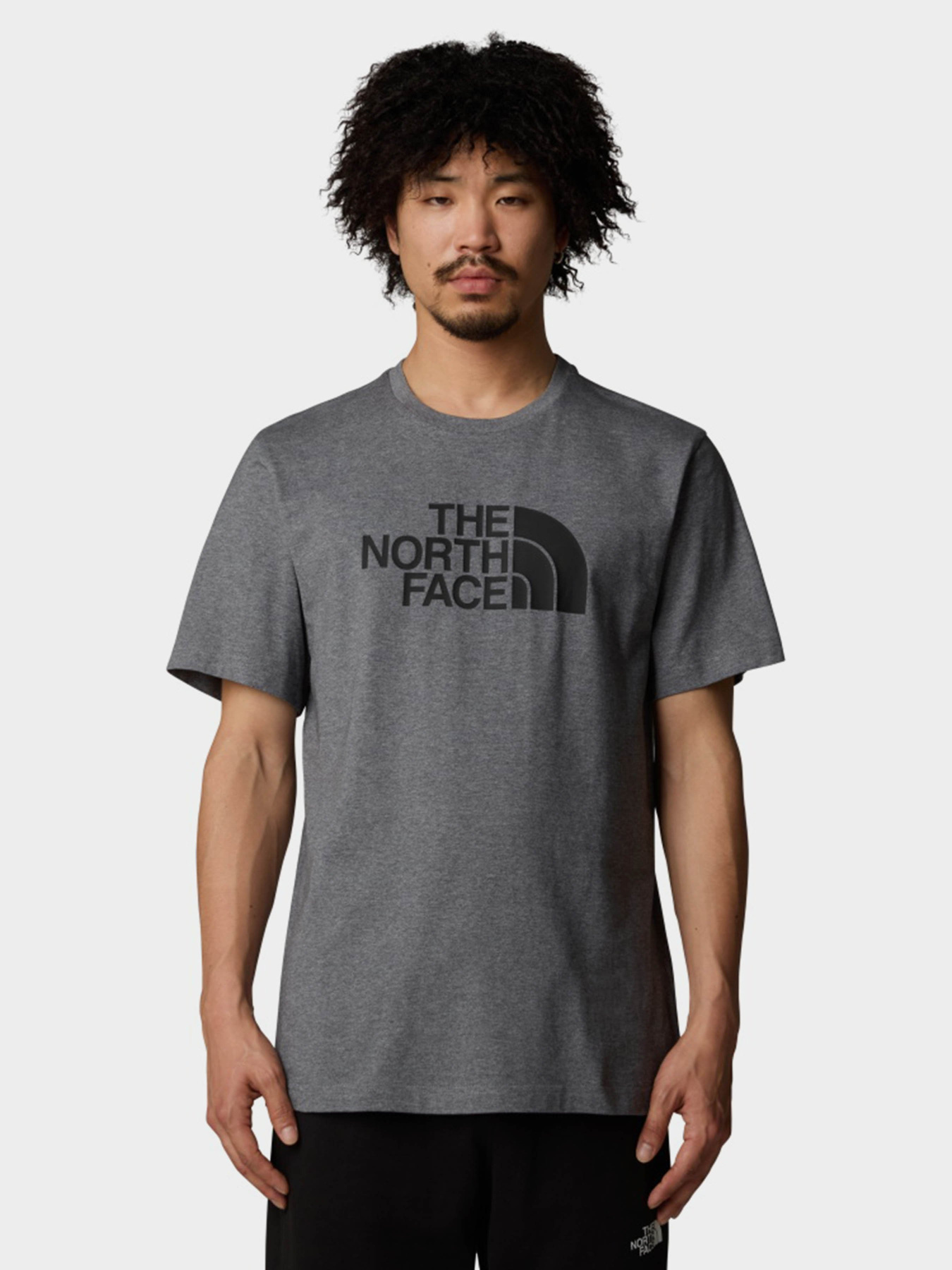 Футболка The North Face Easy модель NF0A8A6CDYY1 Футболка The North Face Easy модель NF0A8A6CDYY1 Фото