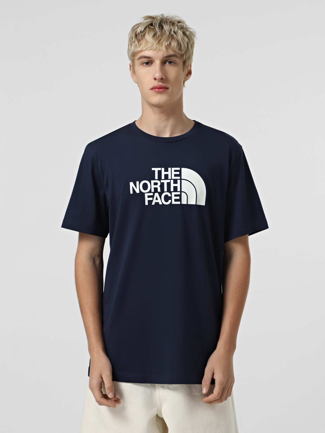 Футболка The North Face Easy модель NF0A8A6C8K21 Фото