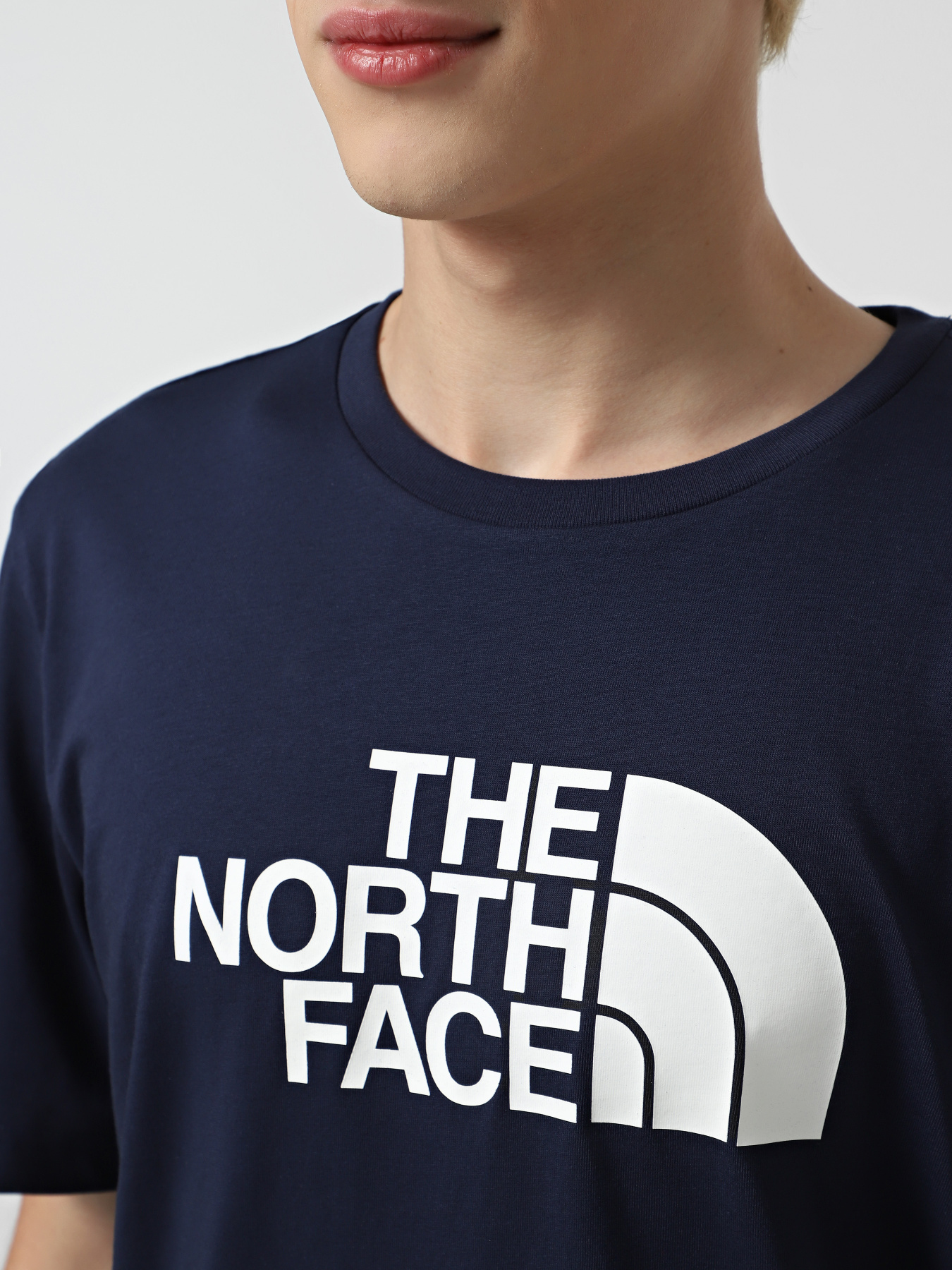 Футболка The North Face Easy модель NF0A8A6C8K21 Фото
