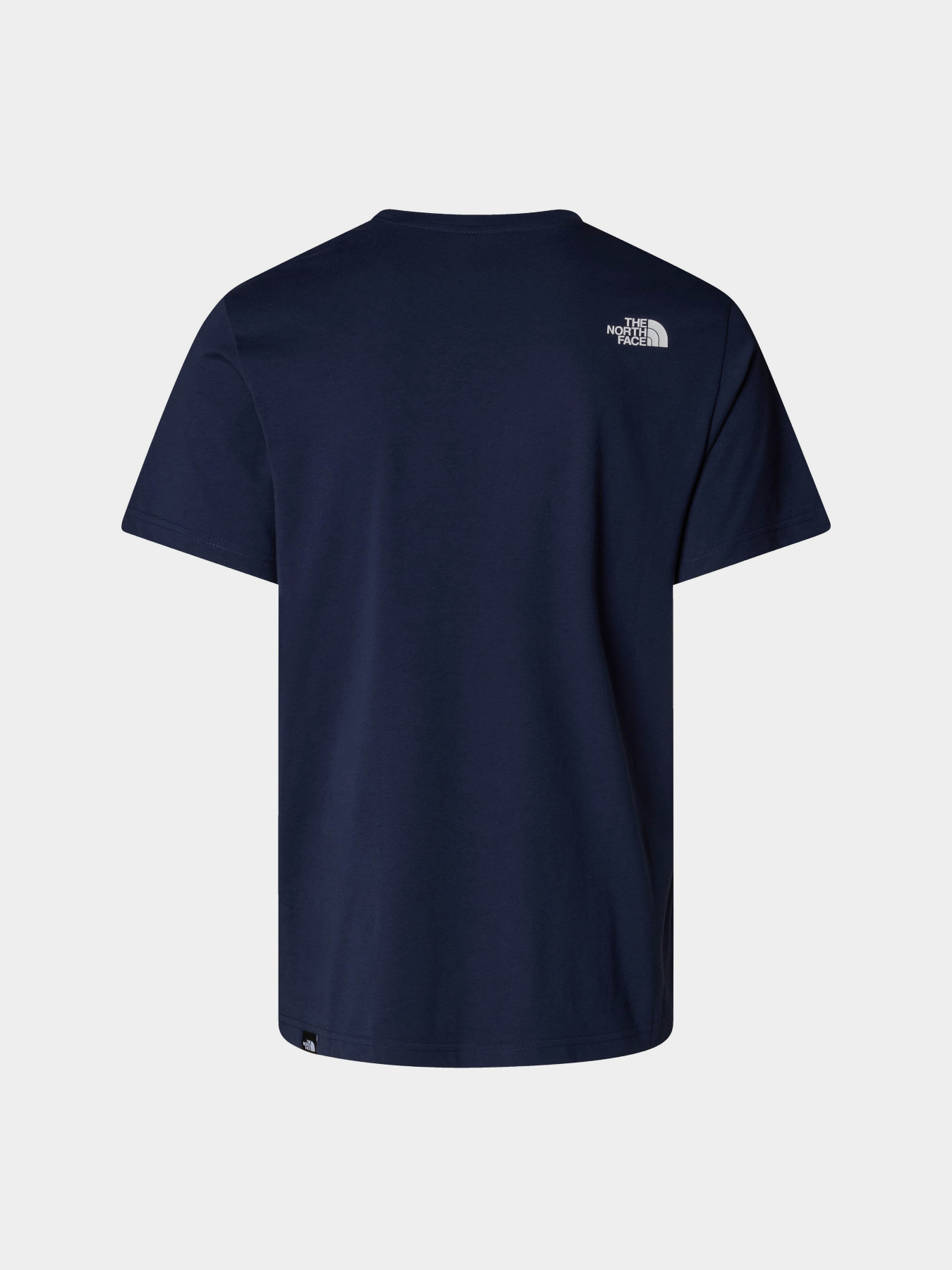 Футболка The North Face Easy модель NF0A8A6C8K21 Фото