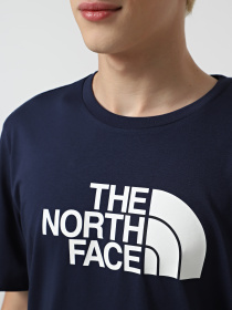 Футболка The North Face Easy модель NF0A8A6C8K21 Фото