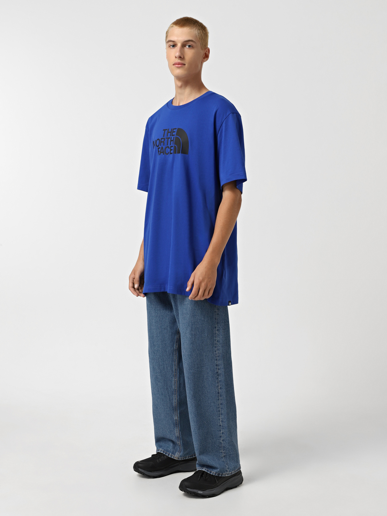 Футболка The North Face Easy модель NF0A8A6CEF11 Фото