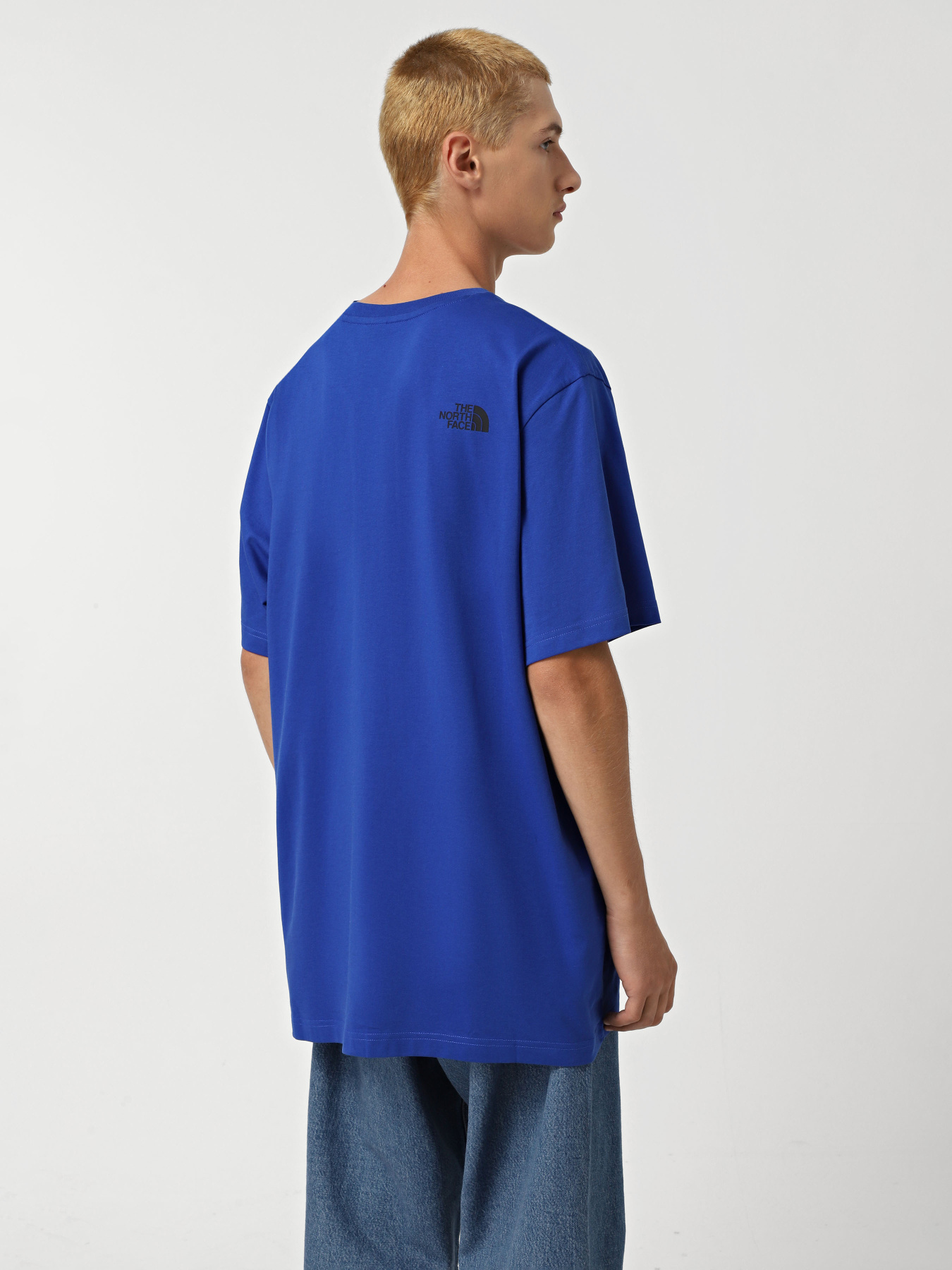 Футболка The North Face Easy модель NF0A8A6CEF11 Фото