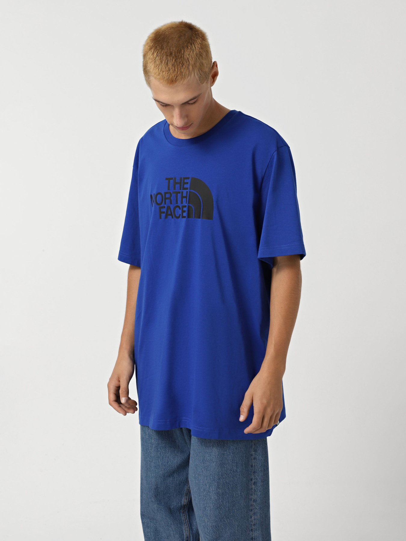 Футболка The North Face Easy модель NF0A8A6CEF11 Фото