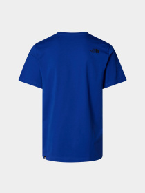 Футболка The North Face Easy модель NF0A8A6CEF11 Фото