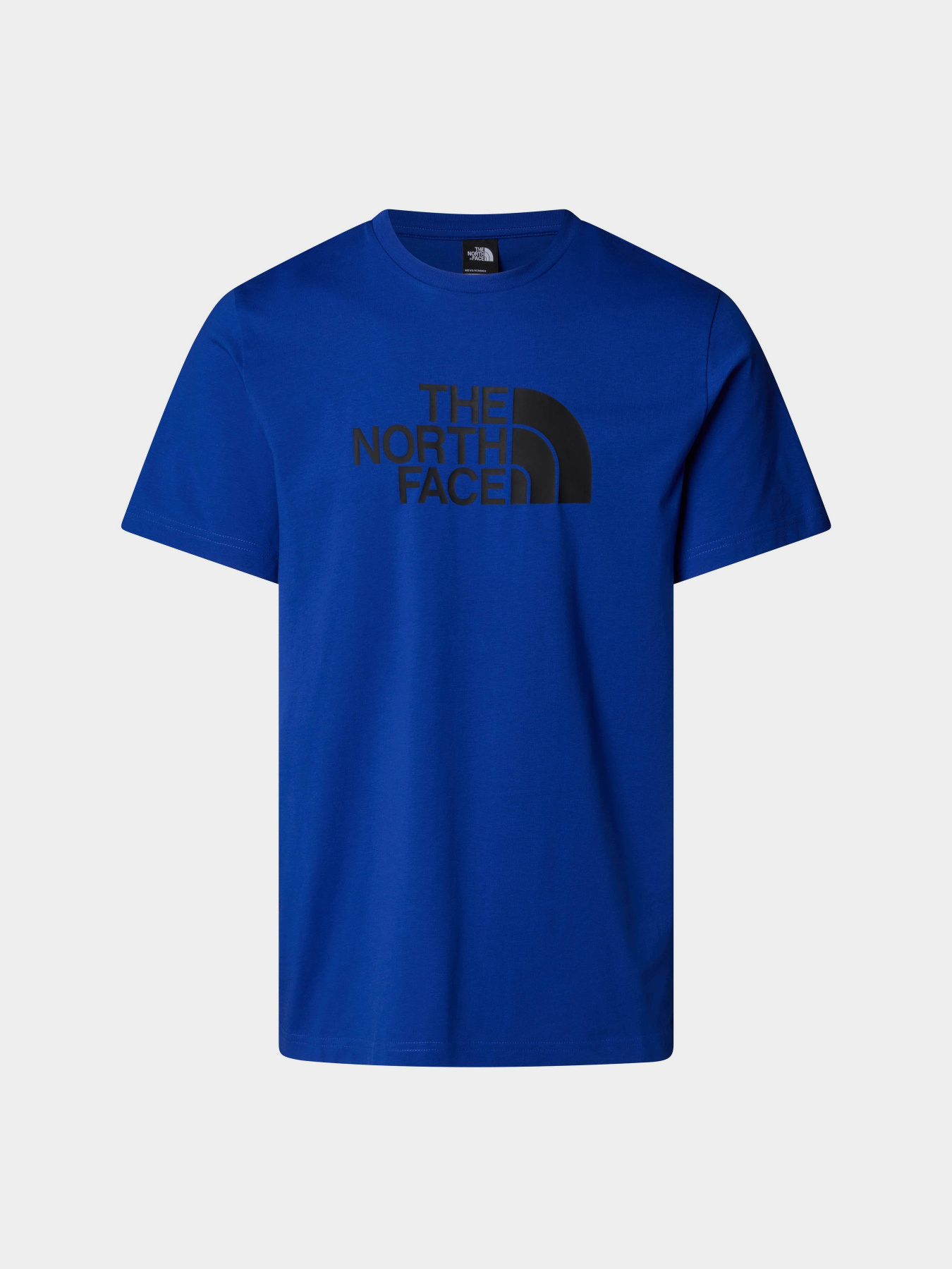 Футболка The North Face Easy модель NF0A8A6CEF11 Фото