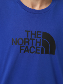 Футболка The North Face Easy модель NF0A8A6CEF11 Фото