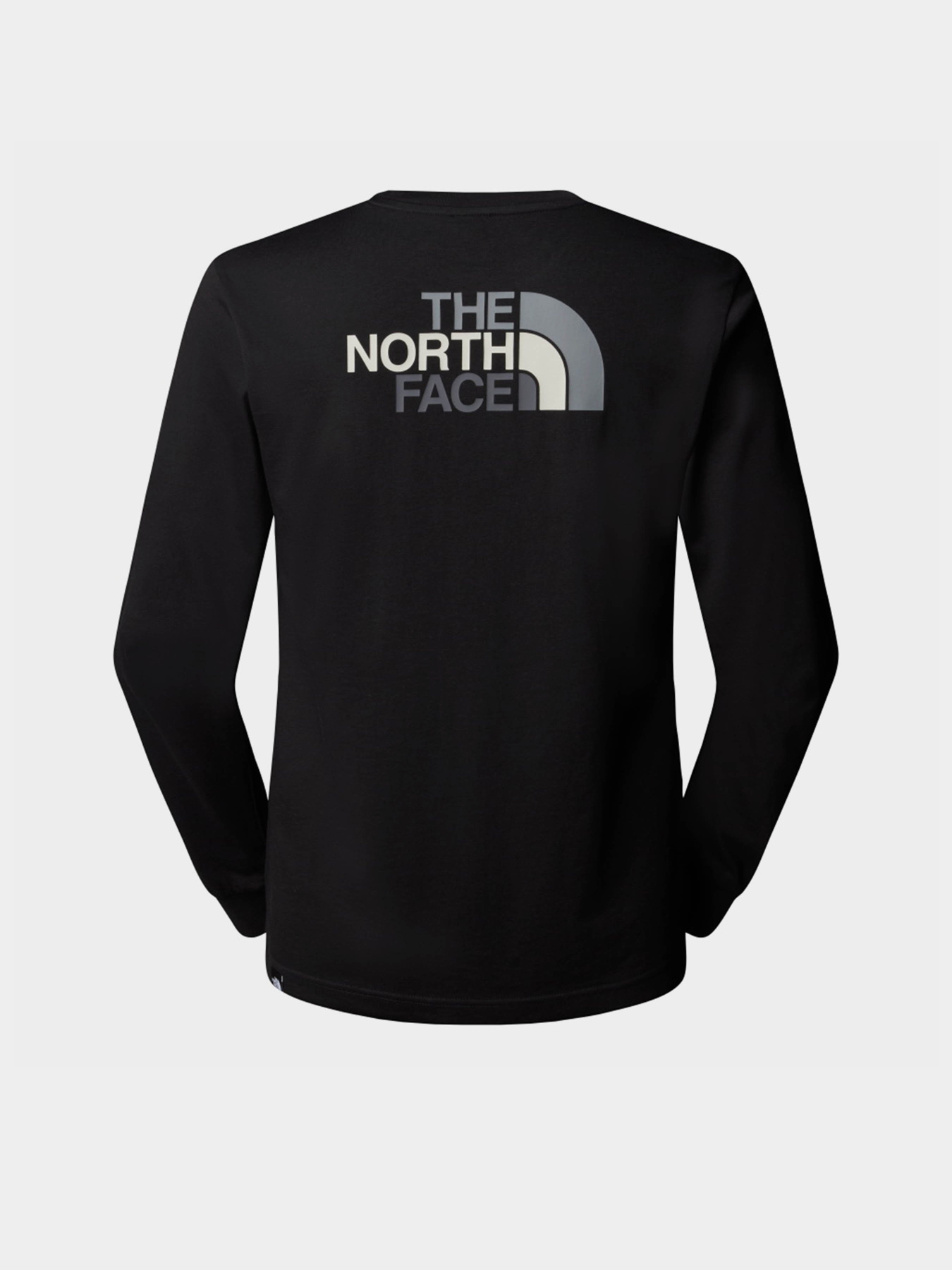Лонгслив The North Face Easy модель NF0A8A6FJK31 Фото