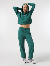 Джоггеры The North Face Essential модель NF0A8A6KNL11 Фото