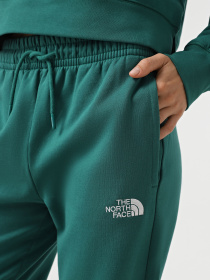 Джоггеры The North Face Essential модель NF0A8A6KNL11 Фото