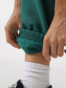 Джоггеры The North Face Essential модель NF0A8A6KNL11 Фото