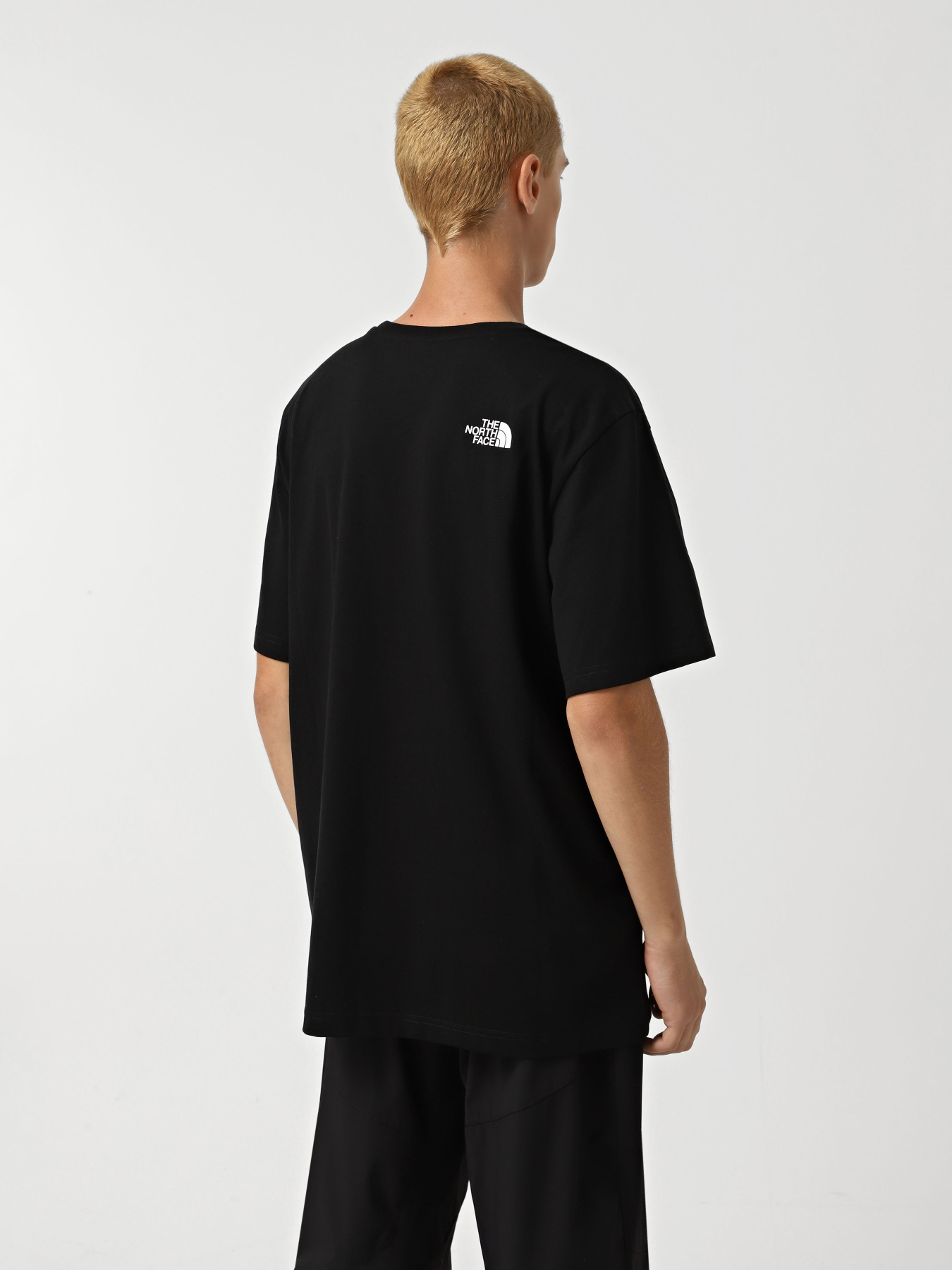 Футболка The North Face Fine Модель NF0A8A6MJK31 Фото