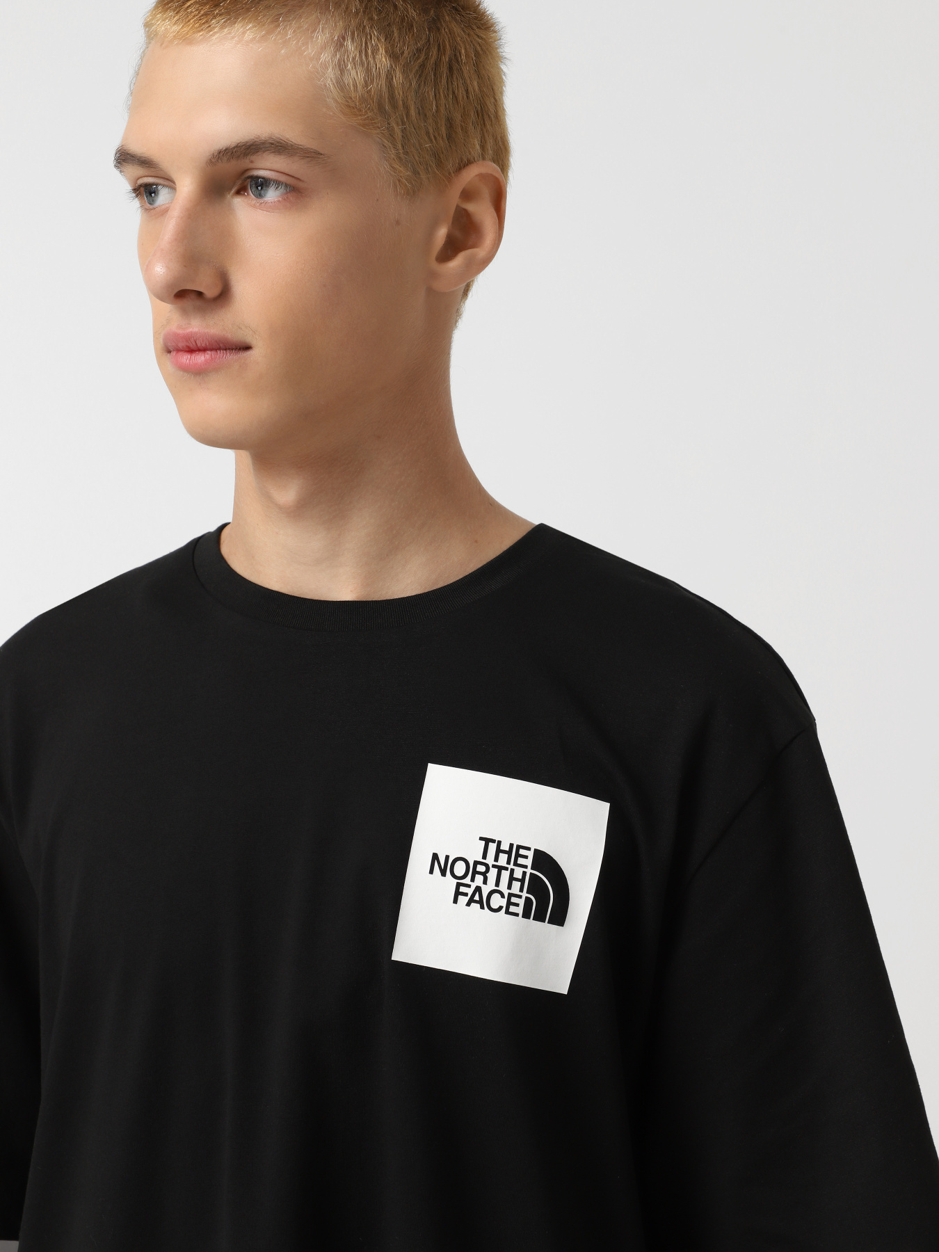 Футболка The North Face Fine Модель NF0A8A6MJK31 Фото