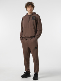 Джогери The North Face Fine модель NF0A8A6N1OI1 Фото