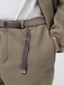 Повседневные штаны The North Face Casual Fleece модель NF0A8A7Y1I21 Фото