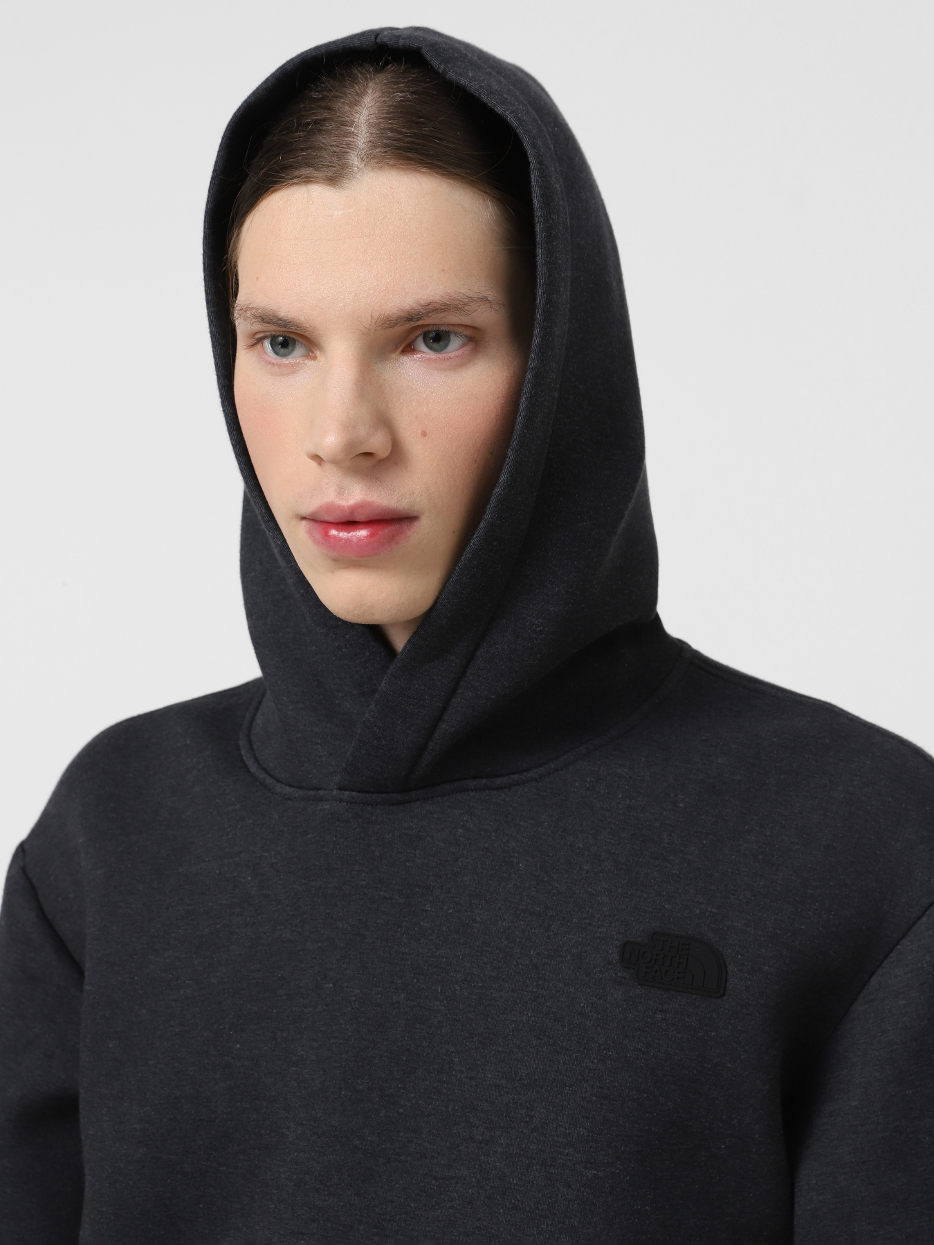 Худи The North Face Pull-On модель NF0A8AMBKS71 Фото