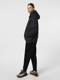 Худи The North Face Pull-On модель NF0A8AMBKS71 Фото