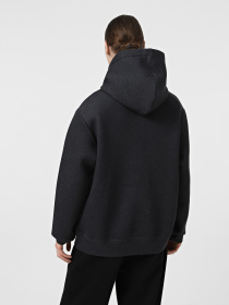 Худи The North Face Pull-On модель NF0A8AMBKS71 Фото