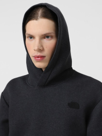 Худи The North Face Pull-On модель NF0A8AMBKS71 Фото