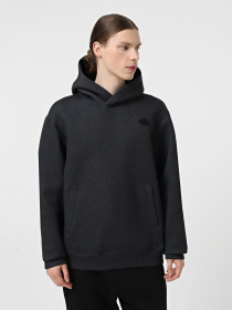 Худі The North Face Pull-On модель NF0A8AMBKS71 Фото