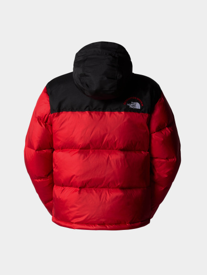 Пуховик The North Face 1996 Retro Nuptse модель NF0A3C8D7GO1 — фото 7 - INTERTOP