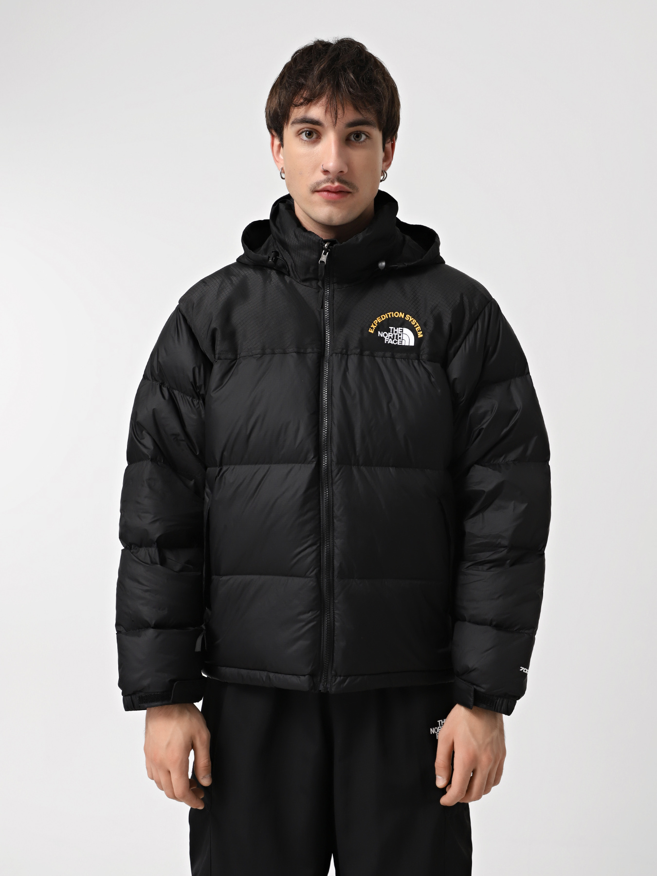 Пуховик The North Face 1996 Retro Nuptse модель NF0A3C8DKX71 Фото