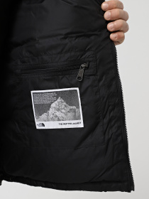 Пуховик The North Face 1996 Retro Nuptse модель NF0A3C8DKX71 Фото