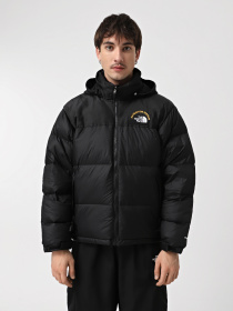 Пуховик The North Face 1996 Retro Nuptse модель NF0A3C8DKX71 Фото