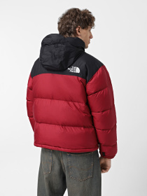 Пуховик The North Face 1996 Retro Nuptse модель NF0A3C8D5BO1 Фото