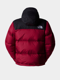 Пуховик The North Face 1996 Retro Nuptse модель NF0A3C8D5BO1 Фото