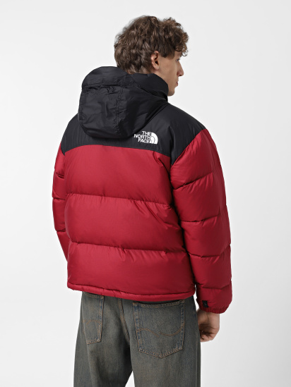 Пуховик The North Face 1996 Retro Nuptse модель NF0A3C8D5BO1 — фото 3 - INTERTOP