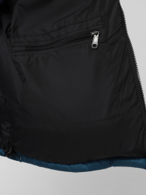 Пуховик The North Face 1996 Retro Nuptse модель NF0A3C8D5LO1 Фото