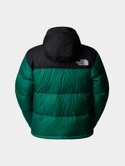 Пуховик The North Face 1996 Retro Nuptse модель NF0A3XEONL11 — фото 7 - INTERTOP