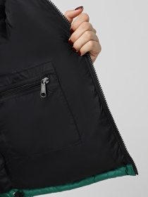 Пуховик The North Face 1996 Retro Nuptse модель NF0A3XEONL11 Пуховик The North Face 1996 Retro Nuptse модель NF0A3XEONL11 Фото