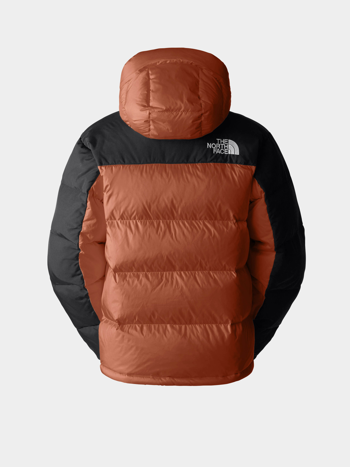 Пуховик The North Face Hmlyn Down модель NF0A4QYX5PO1 Фото
