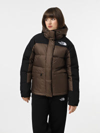 Коричневий - Пуховик The North Face Hmlyn Down