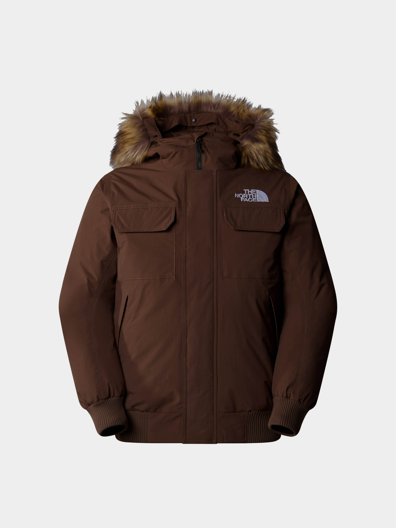 Зимова куртка The North Face Mcmurdo модель NF0A5GD91OI1 Фото