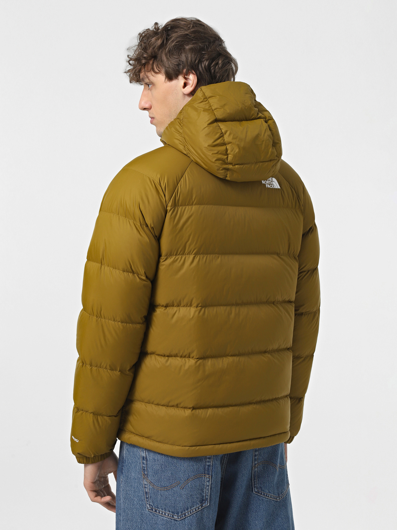 Пуховик The North Face Hydrenalite Hooded Down модель NF0A5GIE1OB1 Фото