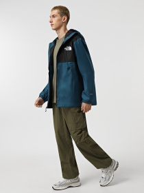 Ветровка The North Face Mountain Q модель NF0A5IG21NO1 Фото