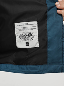 Ветровка The North Face Mountain Q модель NF0A5IG21NO1 Фото