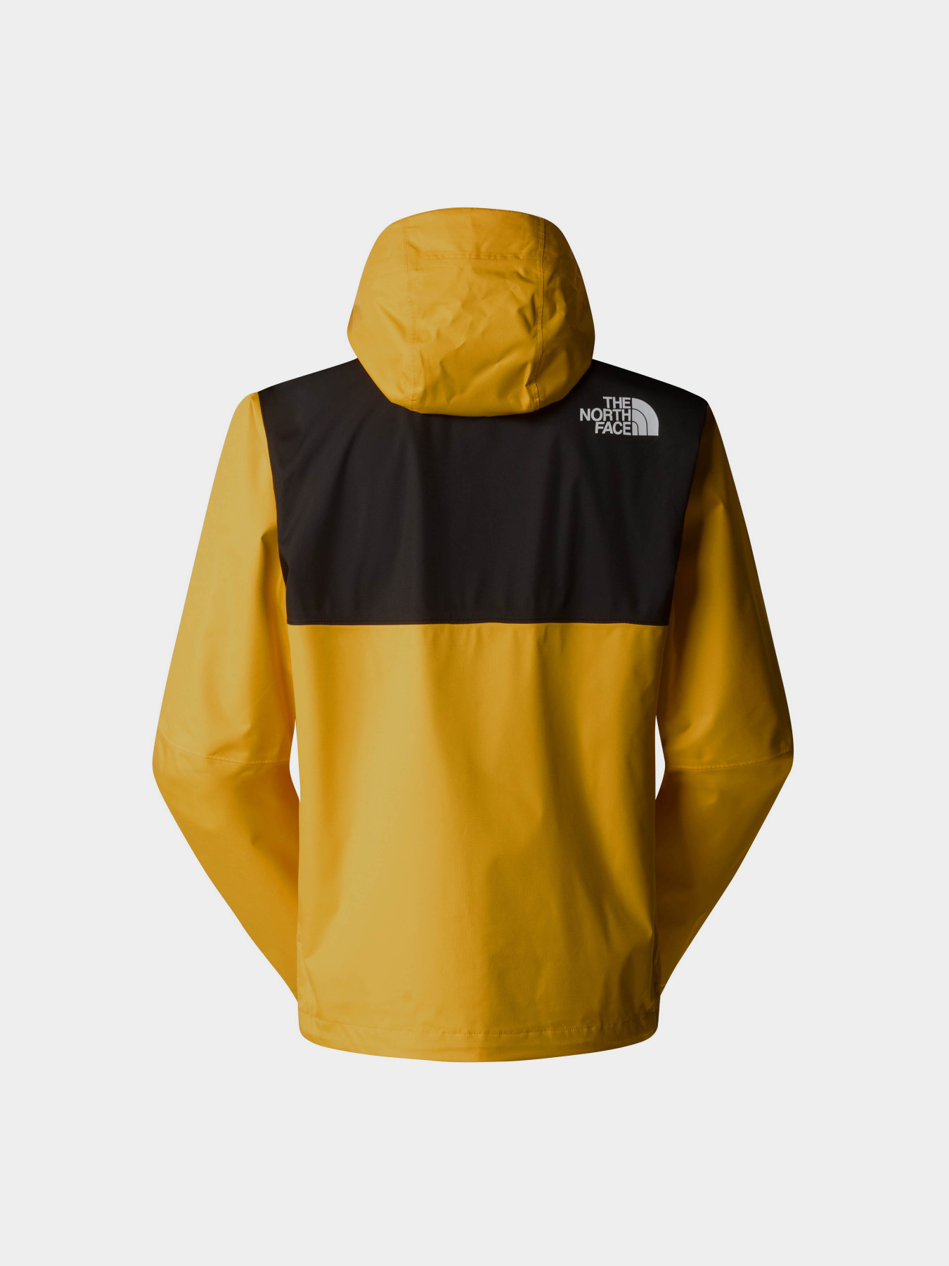 Вітровка The North Face Mountain Q модель NF0A5IG256P1 Фото