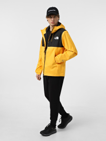 Вітровка The North Face Mountain Q модель NF0A5IG256P1 Фото