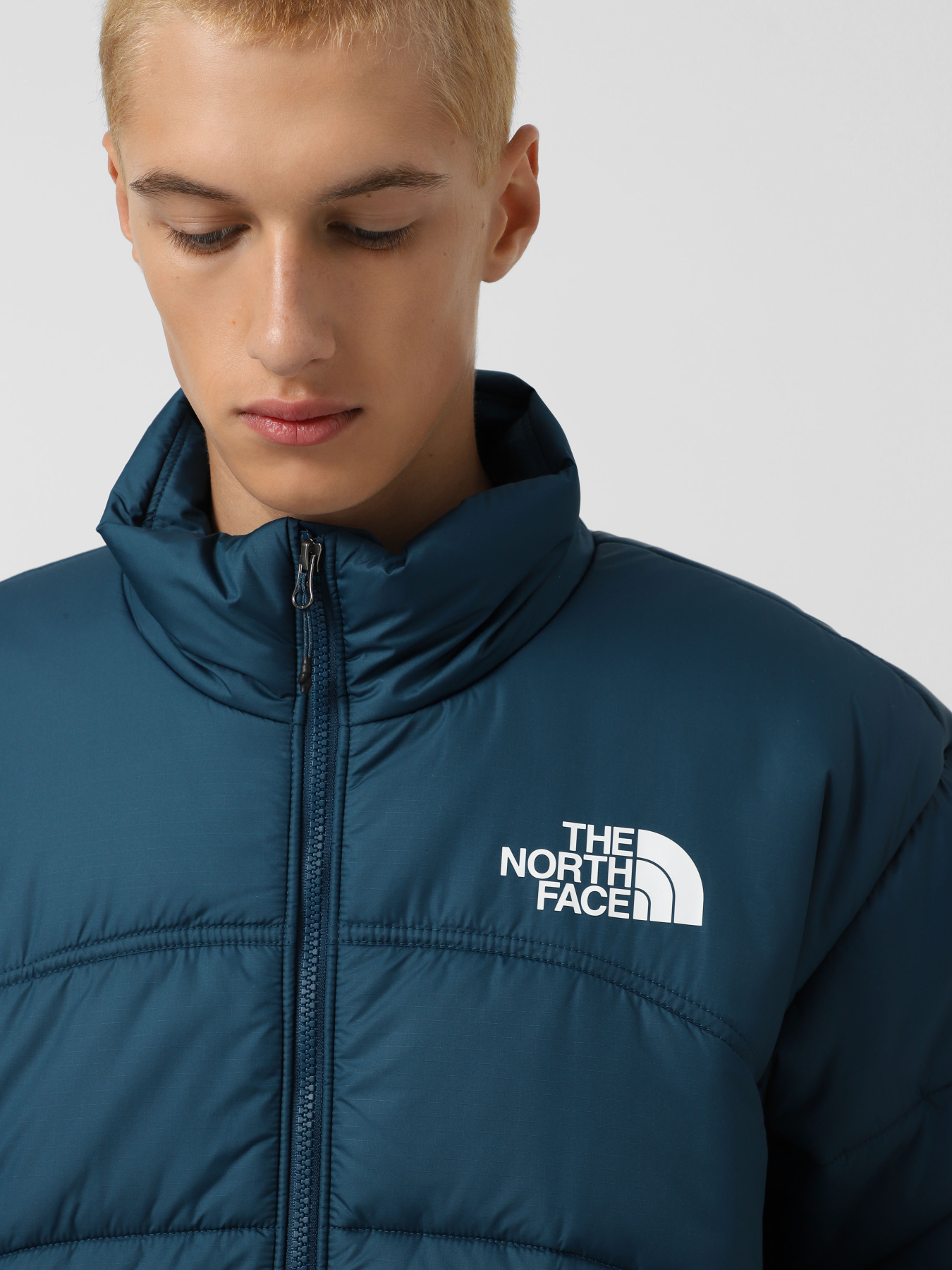 Зимняя куртка The North Face 2000 модель NF0A7URE1NO1 Фото