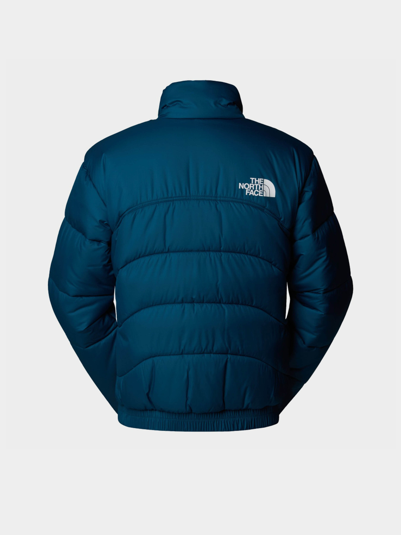 Зимова куртка The North Face 2000 модель NF0A7URE1NO1 Фото