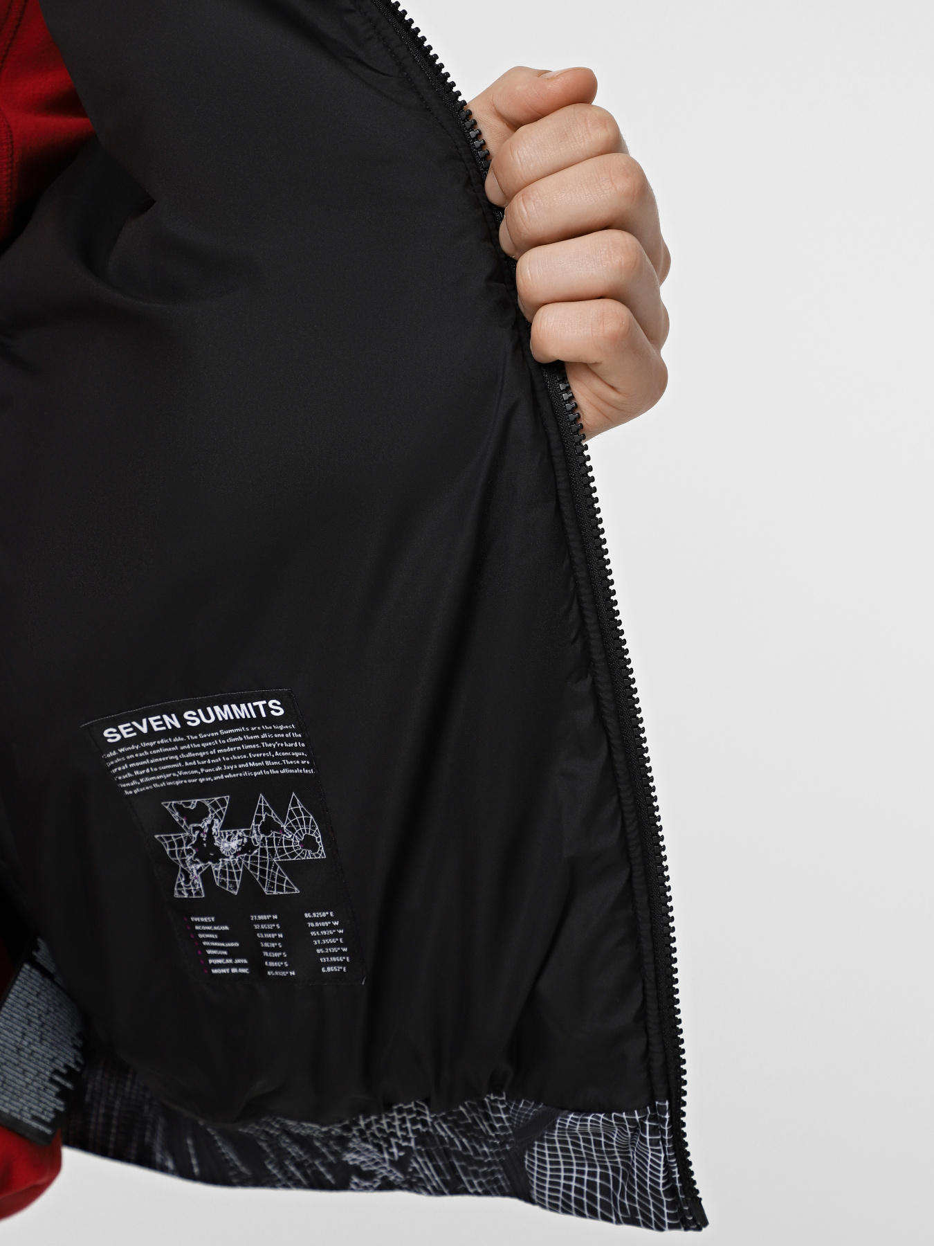 Зимова куртка The North Face 2000 Synthetic Puffer модель NF0A7URE3VO1 Фото