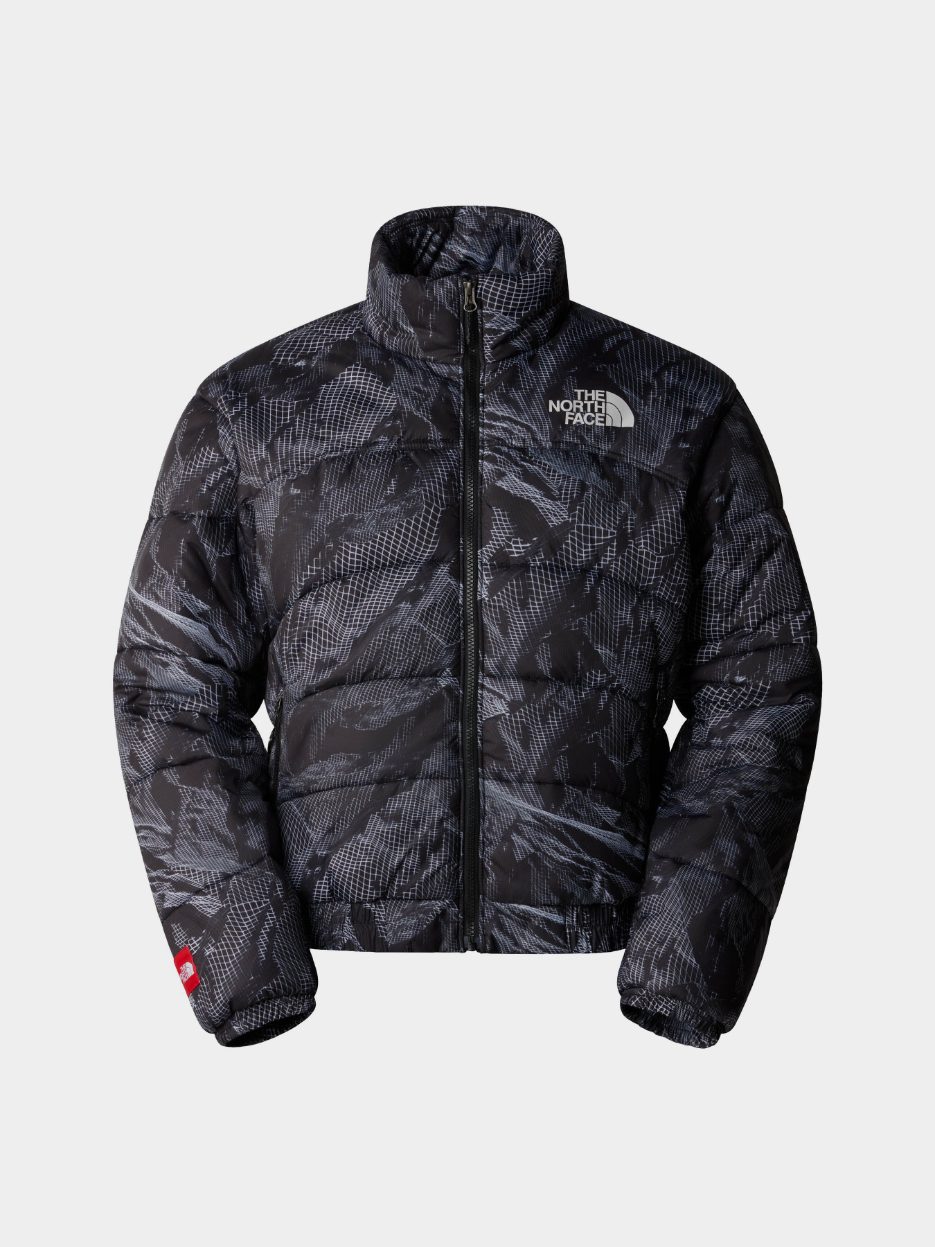 Зимова куртка The North Face 2000 Synthetic Puffer модель NF0A7URE3VO1 Фото