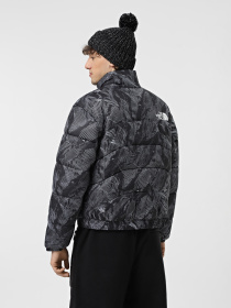 Зимова куртка The North Face 2000 Synthetic Puffer модель NF0A7URE3VO1 Фото