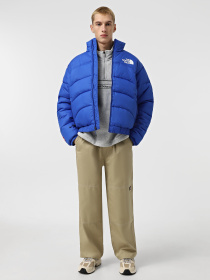 Зимняя куртка The North Face 2000 Synthetic Puffer модель NF0A7URECZ61 Фото