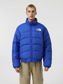 Куртки и дубленки The North Face 2000 Synthetic Puffer модель NF0A7URECZ61 Фото