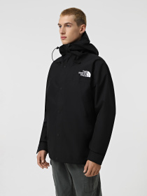 Демисезонная куртка The North Face GORE-TEX® Mountain модель